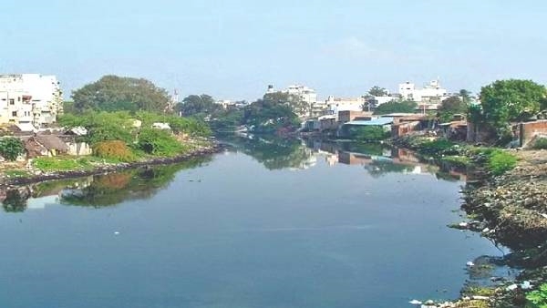 Will Coovam river purified soon? What is the current state of the Cooum river in Chennai? 