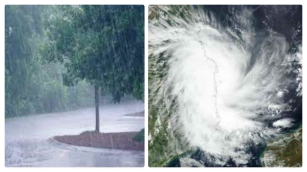 Next 6 days it is going to be heavy rain for Tamil Nadu: Indian weather report warning 