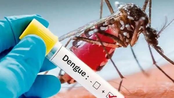Doctors have explained the reason behind the recent outbreak of dengue fever 