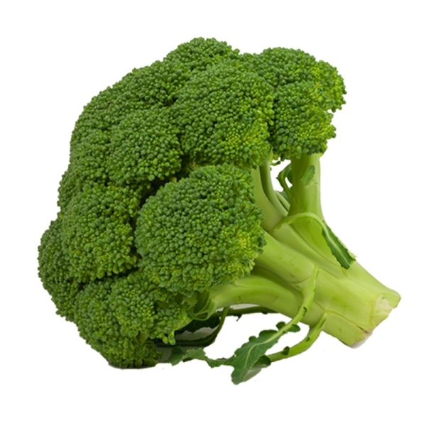 Do you know Apple is the Best Fruit for Piles and 10 Major Diet tips to cure Piles Do you know Apple is the Best Fruit for Piles and 10 Major Diet tips to cure Piles