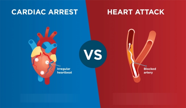 difference between cardiac arrest and heart attack 