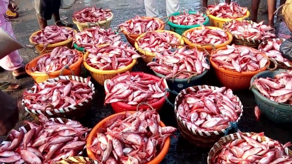 CM Stalin plans to implement new projects worth Rs 1000 crore in North Madras CM Stalin plans to implement new projects worth Rs 1000 crore in North Madras