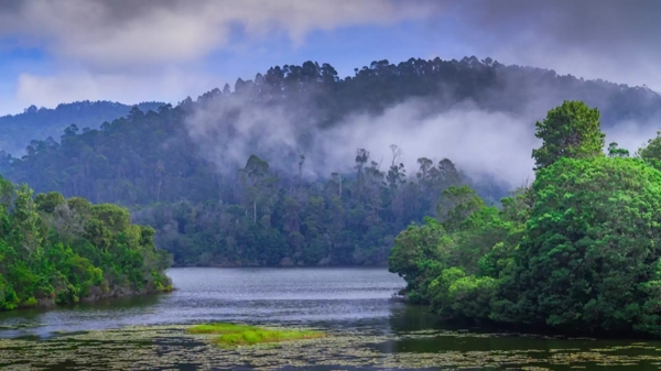 berijam lake Boating : Kodaikanal forest department great gift for tourist 