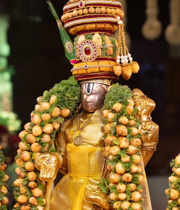 Thirumala Tirupati Brahmotsavam 2023 Malayappaswamy on Garuda vahana sevai Today 