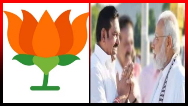 Will Edapadi Palaniswami form alliance with BJP and What are the AIADMK Strategies 
