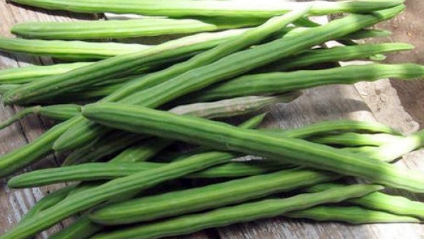 Do you know Excellent Health benefits of Drumstick and Drumstick Eerkku Soup is the Best Food