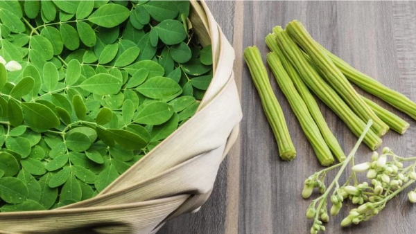 Do you know Excellent Health benefits of Drumstick and Drumstick Eerkku Soup is the Best Food