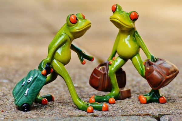 Short story for kids in Tamil : The pond frog and well frog