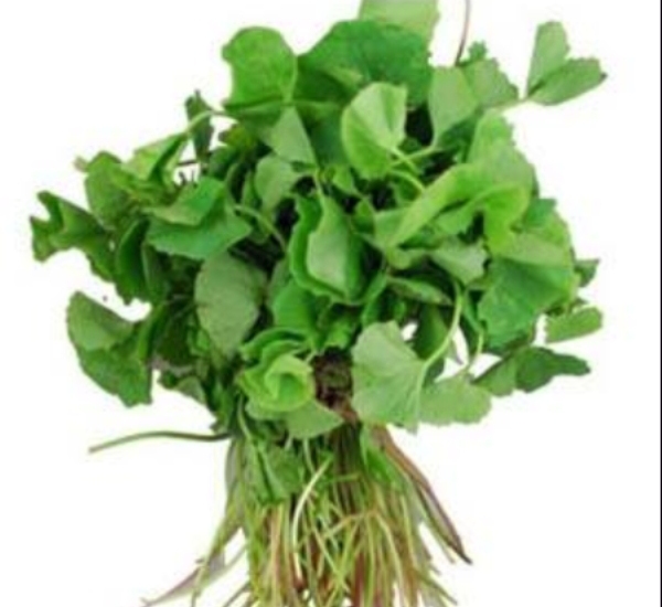 Do you know Health Benefits of Thandu Keerai and what are the Excellent Uses of Amaranth Seeds Do you know Health Benefits of Thandu Keerai and what are the Excellent Uses of Amaranth Seeds