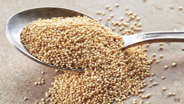 Do you know Health Benefits of Thandu Keerai and what are the Excellent Uses of Amaranth Seeds Do you know Health Benefits of Thandu Keerai and what are the Excellent Uses of Amaranth Seeds