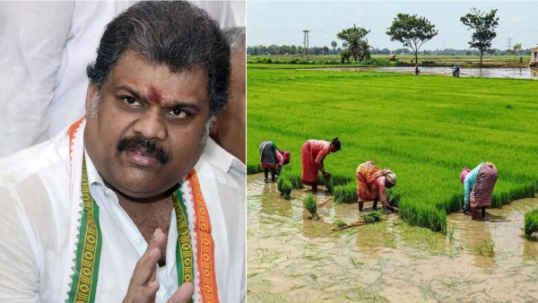 GK Vasan has insisted that the farmers who cultivated Kuruvai are shedding tears and the government should provide relief without delay GK Vasan has insisted that the farmers who cultivated Kuruvai are shedding tears and the government should provide relief without delay