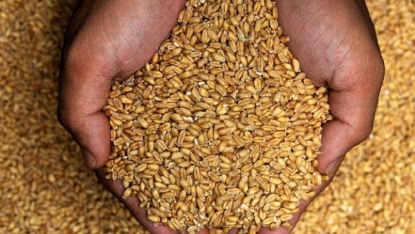  Wheat free for all ration card holders and what did TN Government take the Steps 