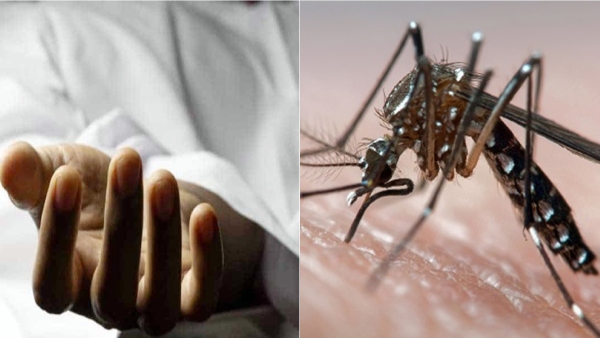 puducherry college student dies of Dengue fever 