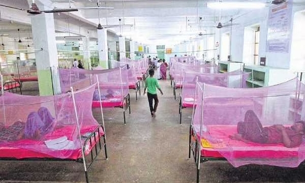 Increase dengue cases in Tamil Nadu: Medical secretary orders action to all district administration 