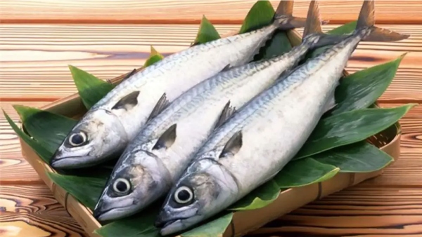 Do you know Health Benefits of Seer Fish and Vanjaram Fish Omelette is the Best Dish for all