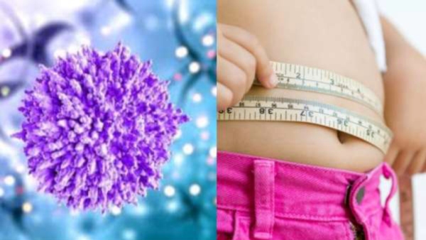 Do you know Health Benefits of Pineapple and How to take Pineapple Fruit for Weight Loss