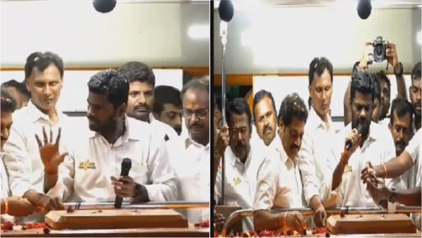 Valparai Incident and TN BJP Leader Annamalai Band Aid Plaster Video Valparai Incident and TN BJP Leader Annamalai Band Aid Plaster Video