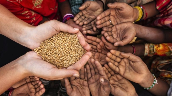 Climate change may lead to food shortages in India 