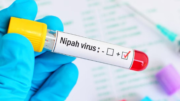 Kerala is on high alert due to Nipah suspected deaths