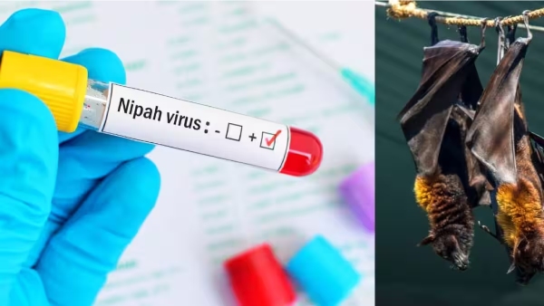  Common things between Nipah and Coronavirus