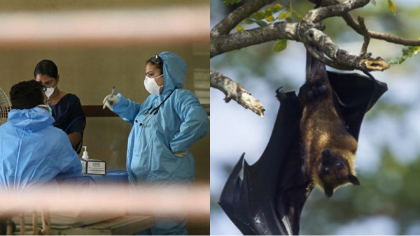 Amid Nipah virus scare, Educational institutions to shut till Sept 24 in Kozhikode 