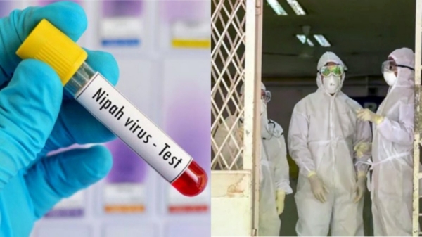  Nipah outbreak: India To Get Antibodies From Australia