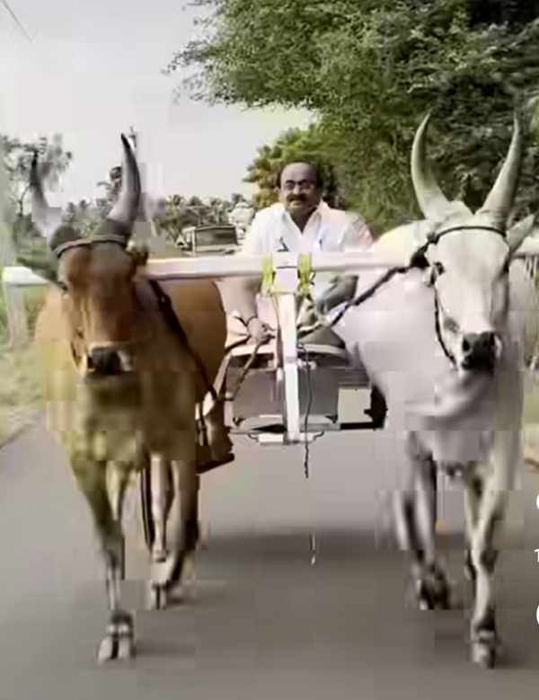 Food Minister Sakkarapani, who is always busy with government work and party work, went to his farm after a long time 