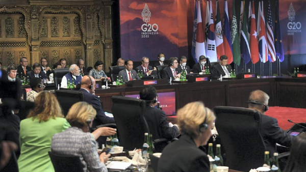 Single Drone Used In Birthday Party creates huge confusion in Delhi G20 summit Single Drone Used In Birthday Party creates huge confusion in Delhi G20 summit