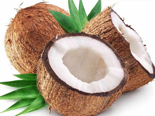 Health benefits about Coconut and Do you know Coconut Flower is the Best Medicine for Women Health benefits about Coconut and Do you know Coconut Flower is the Best Medicine for Women
