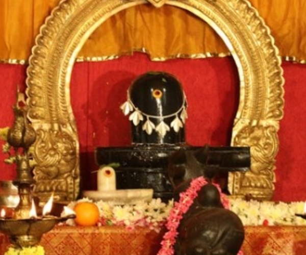 Runa Vimochana Pradosha Viratham Nandhi Dharisanam for Clearing All Loans and Debts cure disease 