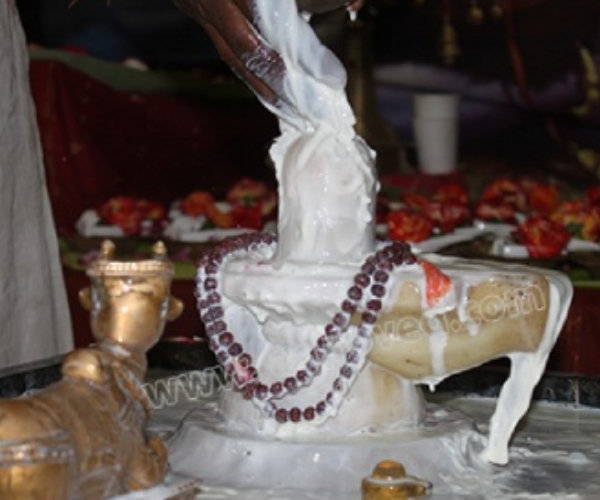 Runa Vimochana Pradosha Viratham Nandhi Dharisanam for Clearing All Loans and Debts cure disease 