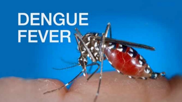 Young girl dies of mysterious fever spreading in Trichy Young girl dies of mysterious fever spreading in Trichy