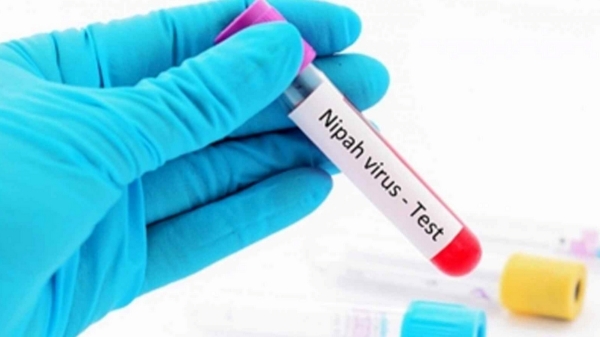 Due to the spread of Nipah virus, a holiday has been declared in Mahe, Puducherry near Kerala from today 