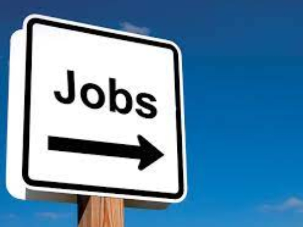 Job fair to be conducted today ahead of Karunanidhis birthday 