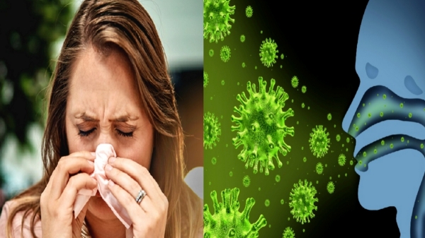 Influenza: What Are the Guidelines for Treatment? Public Health department issued deatils 