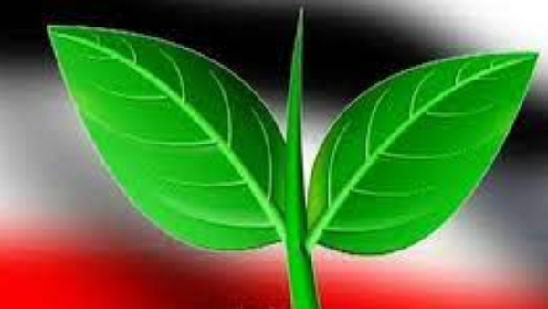 AIADMK protests today in Tirupur to condemn the DMK government 