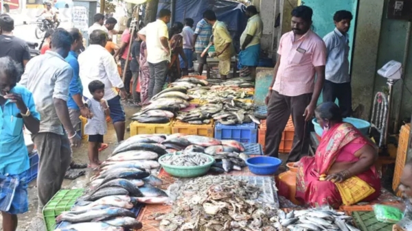 Purattasi month viratham Fish price down by 40% in chennai Purattasi month viratham Fish price down by 40% in chennai