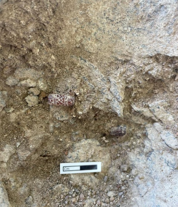 Carnelian beads were traced inside an urn today at Keezhadi 