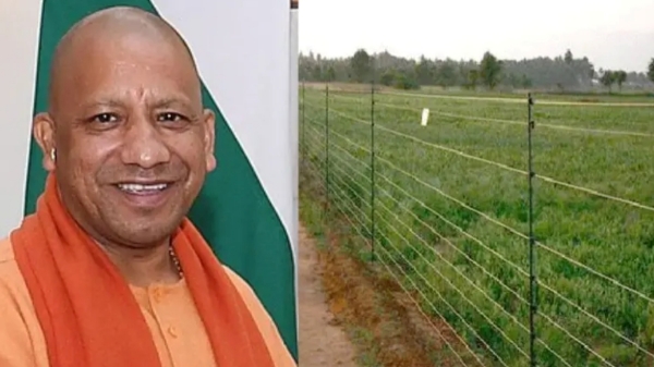 The UP government is implementing a new scheme to protect agricultural crops from wild animals 