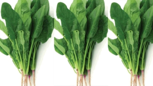 Health Benefits of Keerai Leaves and Do you know How to cook Healthy Keerai Omelette