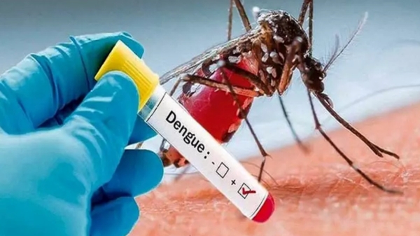 dengue: Public Health Department orders to conduct daily fever camps across Tamil Nadu dengue: Public Health Department orders to conduct daily fever camps across Tamil Nadu