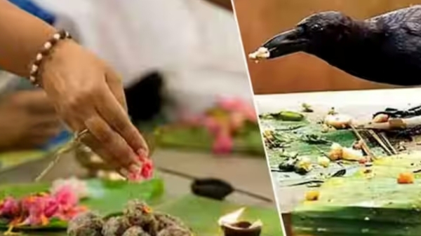 Mahalaya patcham 2023: Dos and Dont on Mahalaya patcham days 