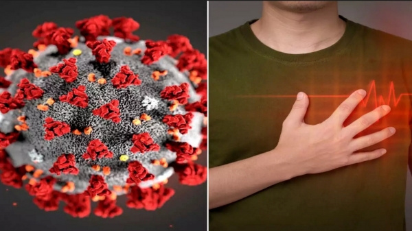 Corona induced changes and lifestyle is major reason for high heart fatalities 