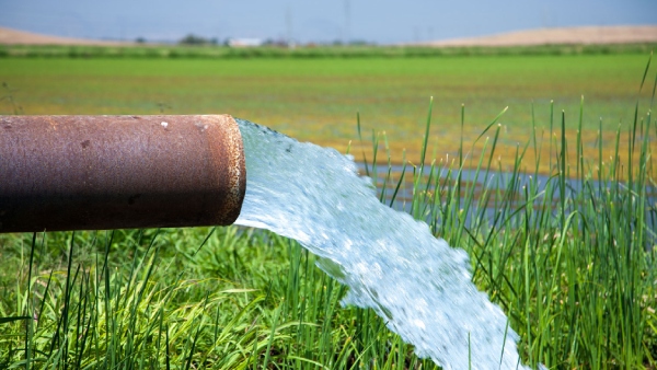rate of groundwater depletion could triple by 2080, according to a new study rate of groundwater depletion could triple by 2080, according to a new study