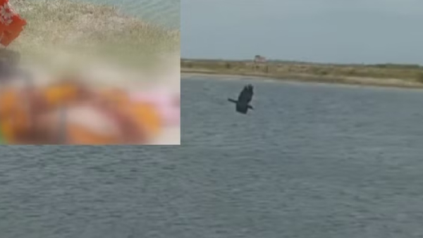 Nagapattinam Big Incident and Did the poisonous fish bite the Nagai Woman Nagapattinam Big Incident and Did the poisonous fish bite the Nagai Woman