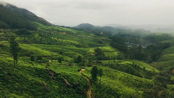 How to go to Deiva Thirumagal shooting spot Avalanche lake near Ooty 