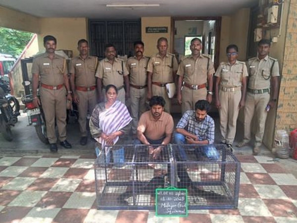 Trichy police arrested 3 persons kidnapped squirrels 