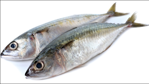 Do you know the Excellent Benefits of Kanangeluthi Fish and Fish is the Best food for Weight Loss