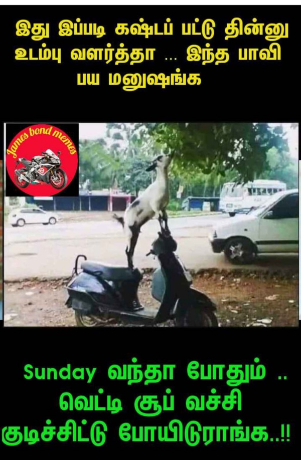  Funny memes collection on sunday special food 22.10.2023