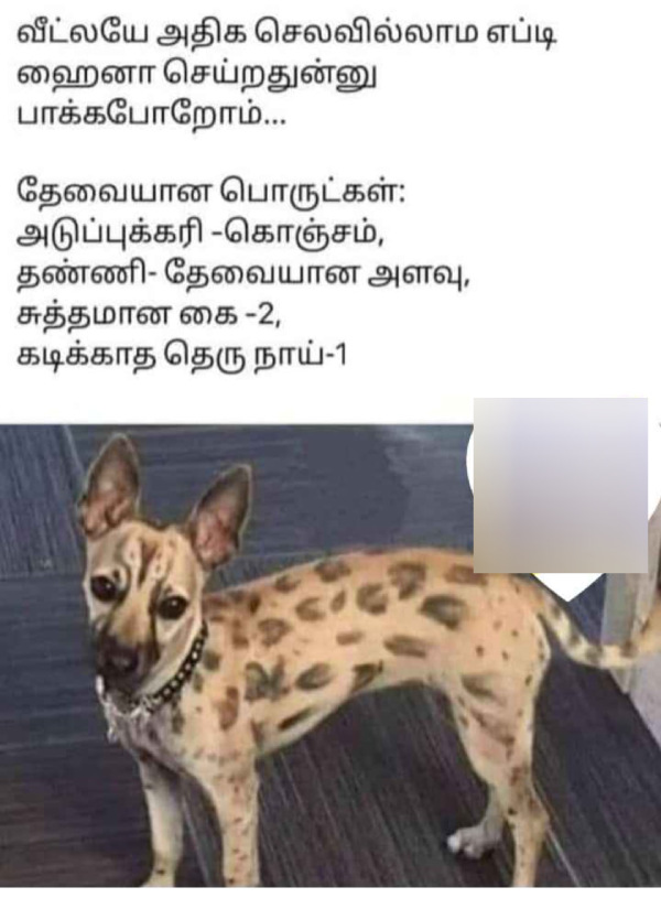  Funny memes collection on Vijays Leo 26-10-23